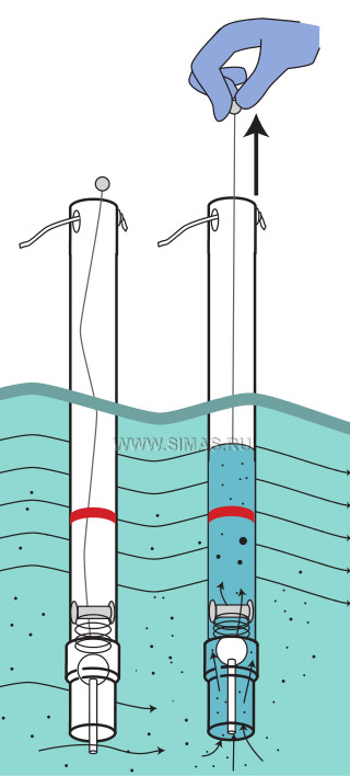 tank-inwater